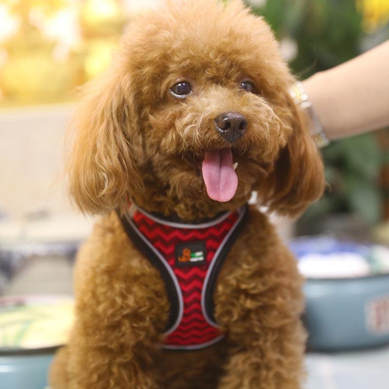 Reflective Stroke Prevention Pet Harness With Leash