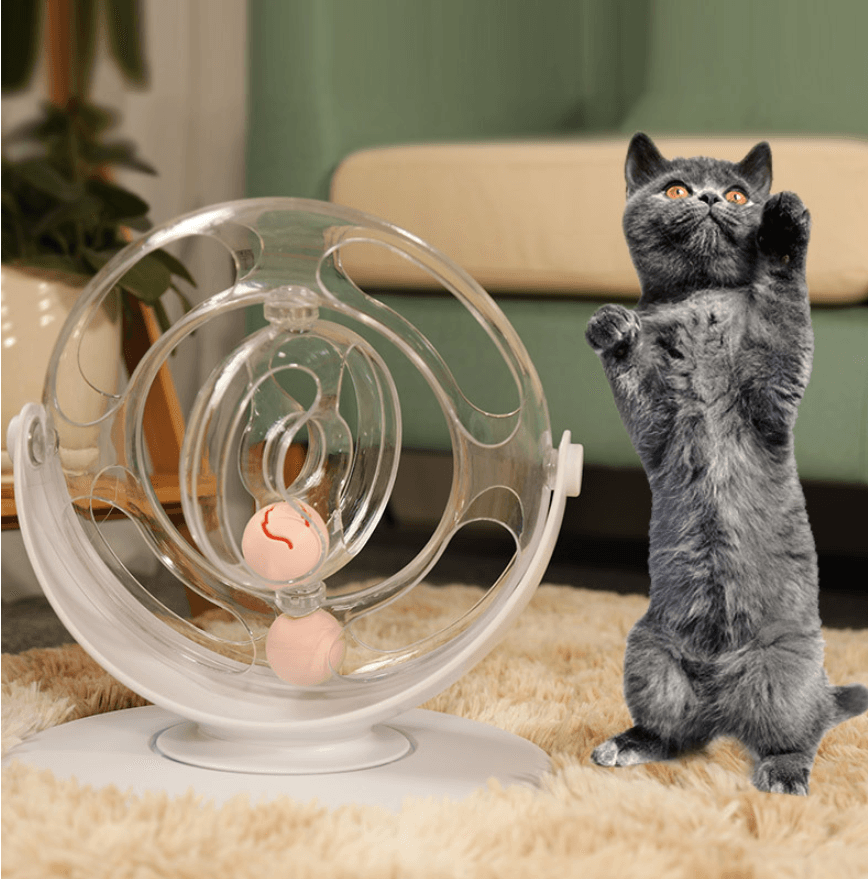 Interactive Kitty Groove: Cat Turntable Educational Toy