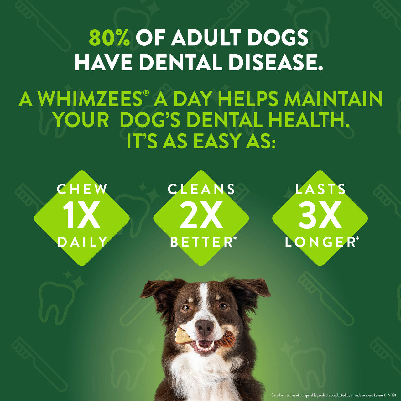 WHMZ DNTL CHW MEDIUM 7CT ( 4 X 7.4 OZ   )