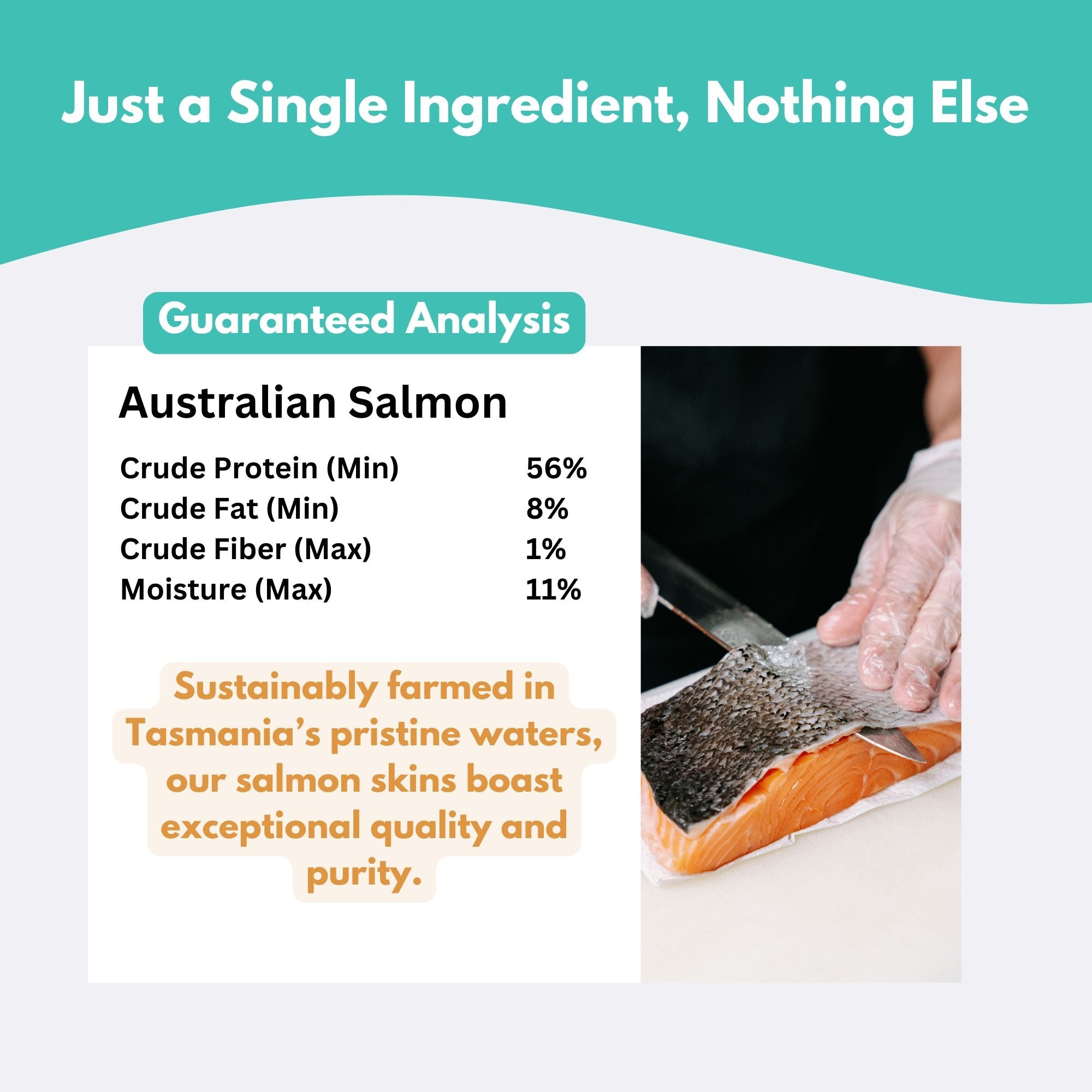 Australian Salmon Skin Dog Treats