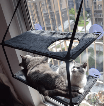 Luxury Cat Hammock Bed With Super Suction Cup - Removable And Washable