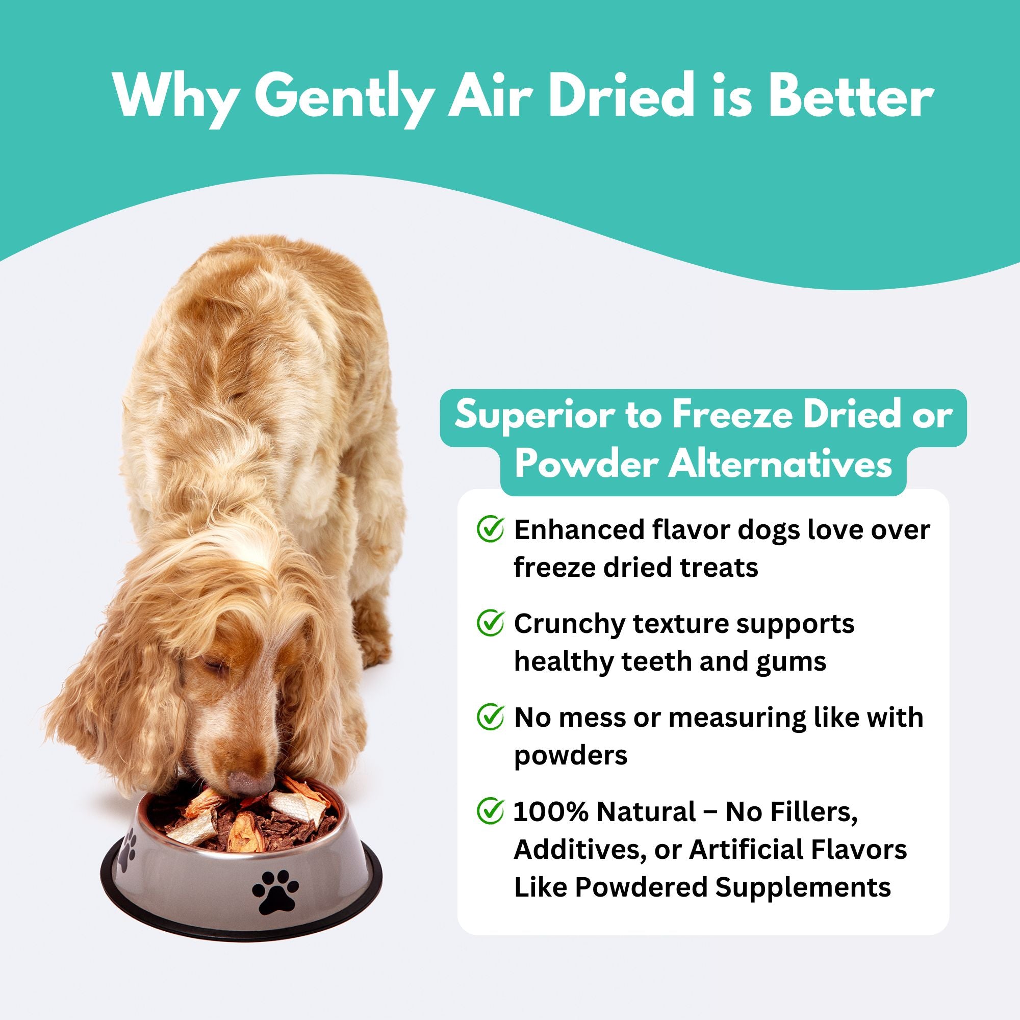 New Zealand Green Lipped Mussel Dog Treats