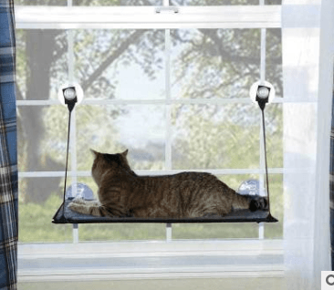 Luxury Cat Hammock Bed With Super Suction Cup - Removable And Washable
