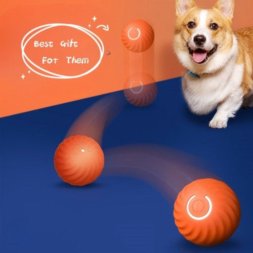 Pet Dog Rubber Ball Toys For Dogs - Resistance To Bite Dog Chew Toys