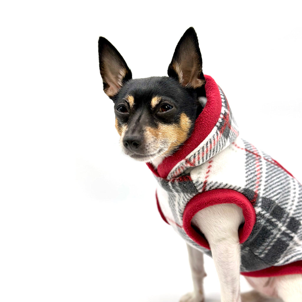 Dog Hoodie in Lodge Plaid