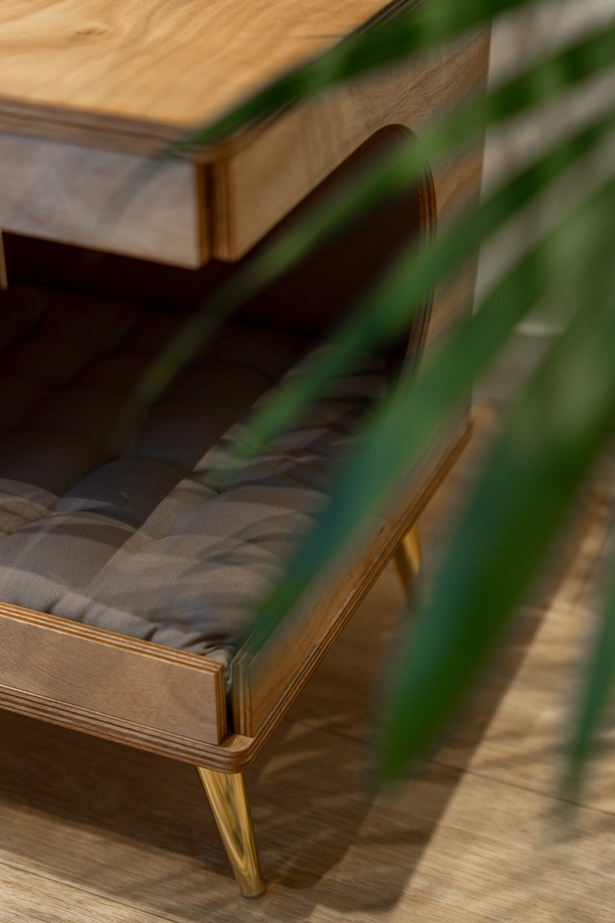 Guolis katėms "VAŠKINIS NAMAS"