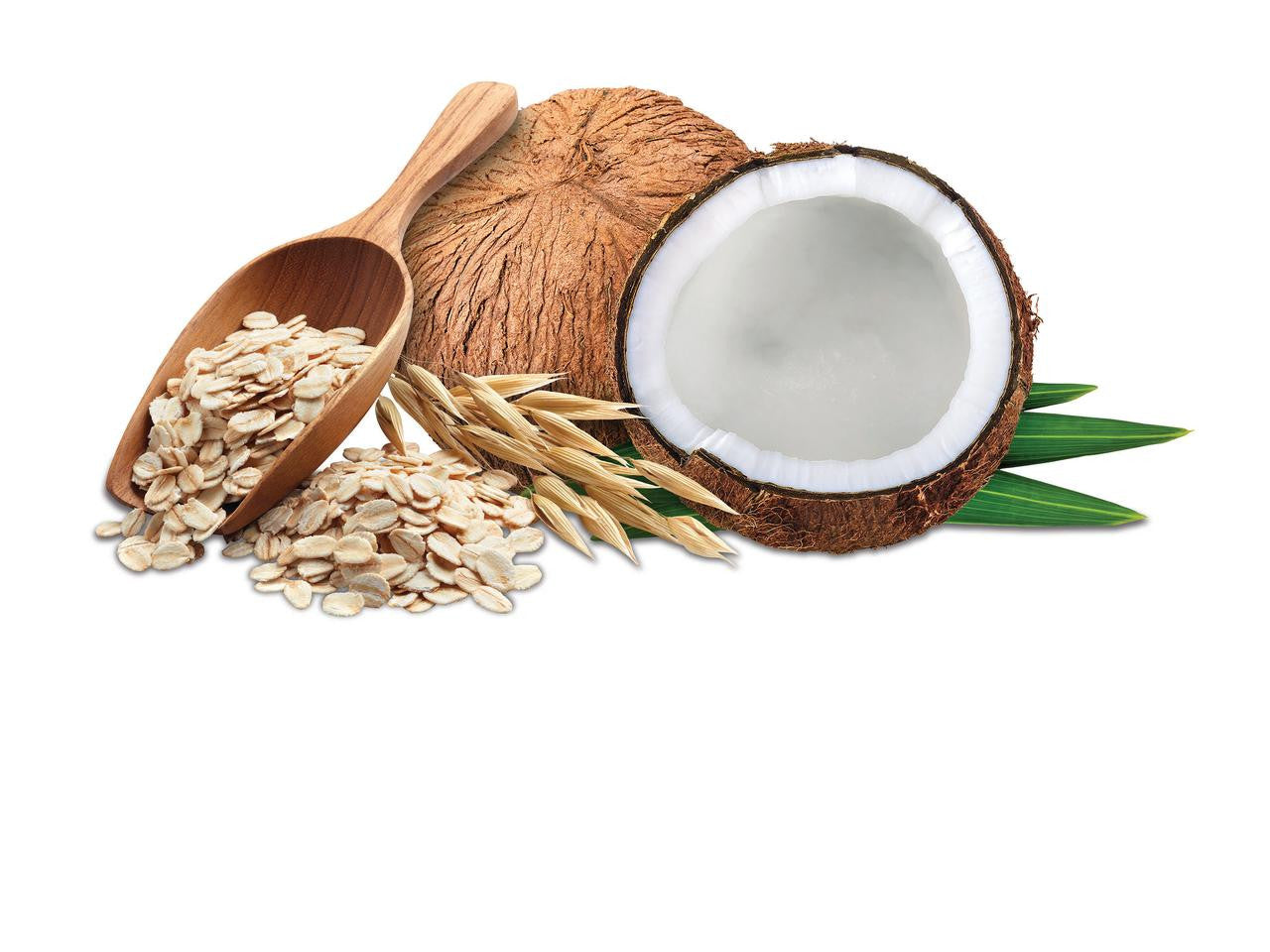 GIO PET WIPES OAT & CNUT ( 1 X 75 CT   )