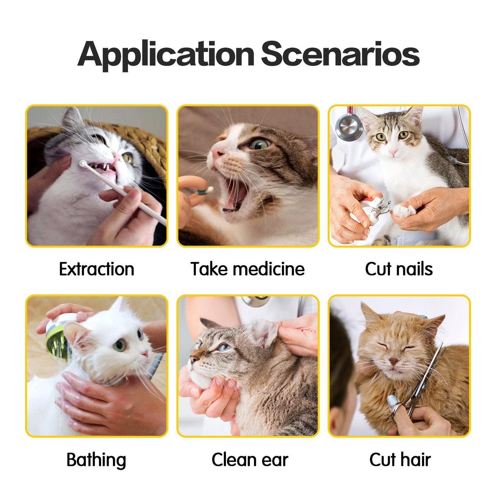 Anti-Scratch And Bite Cat Travel Bag With Double Lining - Stylish And Secure Pet Carrier