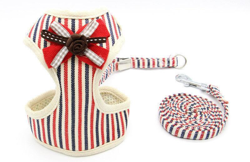 Cat Explorer Adventure Set