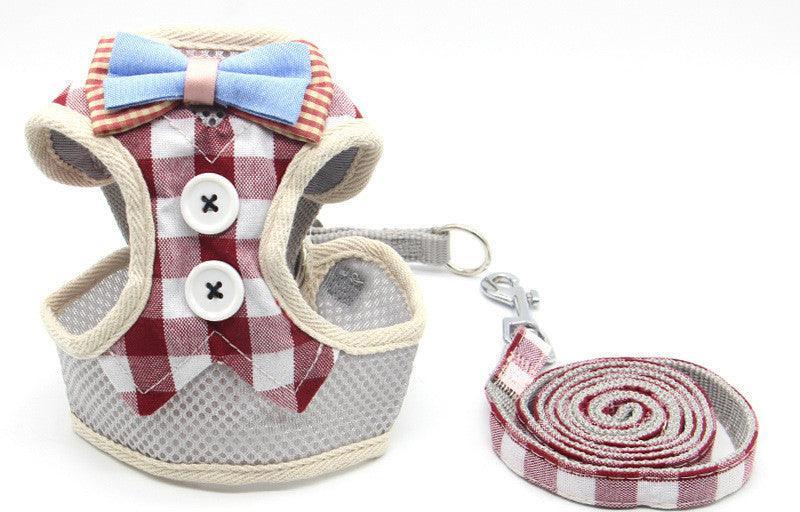 Cat Explorer Adventure Set