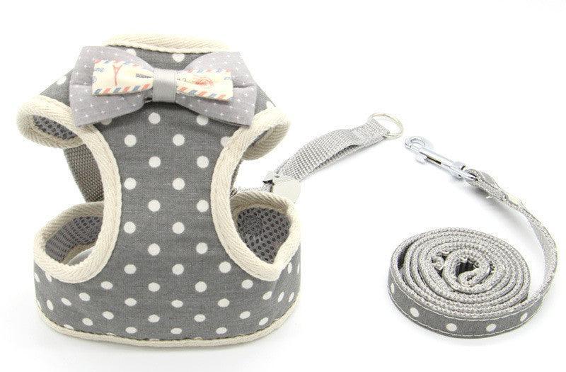 Cat Explorer Adventure Set