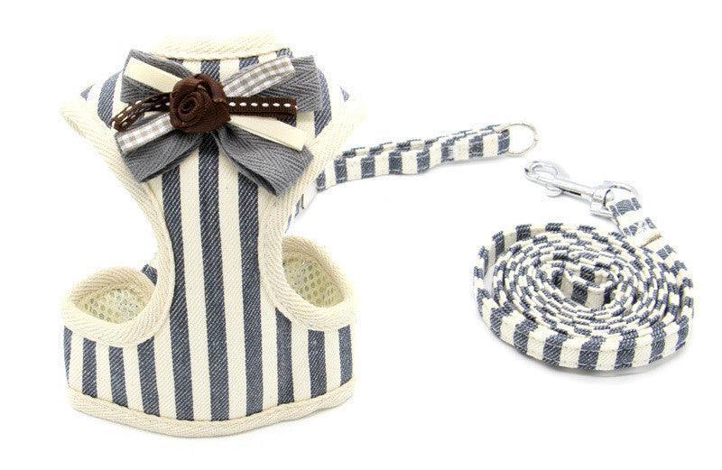 Cat Explorer Adventure Set