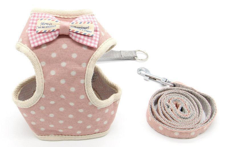 Cat Explorer Adventure Set