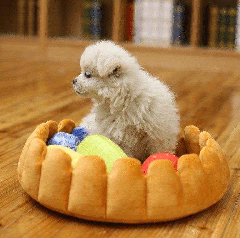 Cozy Fruit Tart Pet Bed - A Sweet Retreat For Your Furry Friends