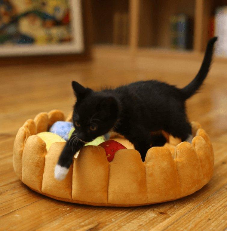 Cozy Fruit Tart Pet Bed - A Sweet Retreat For Your Furry Friends