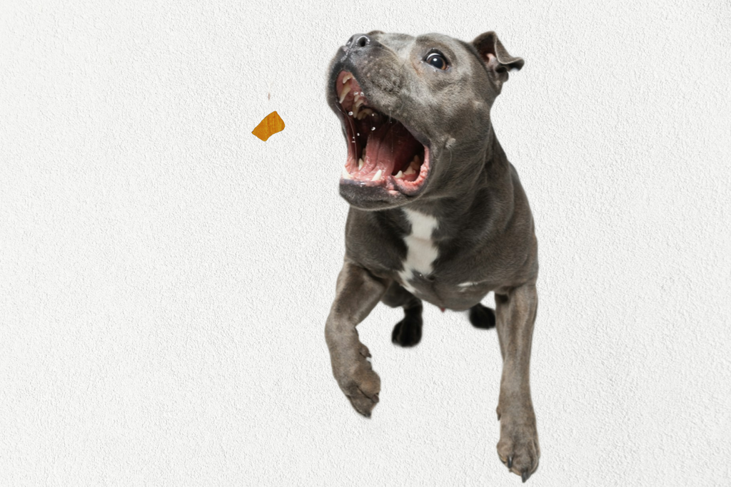 Single Ingredient, High Value Freeze-Dried Training Treats for Dogs & Cats - Beef Liver