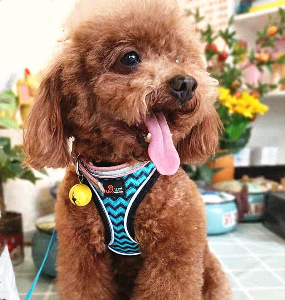 Reflective Stroke Prevention Pet Harness With Leash