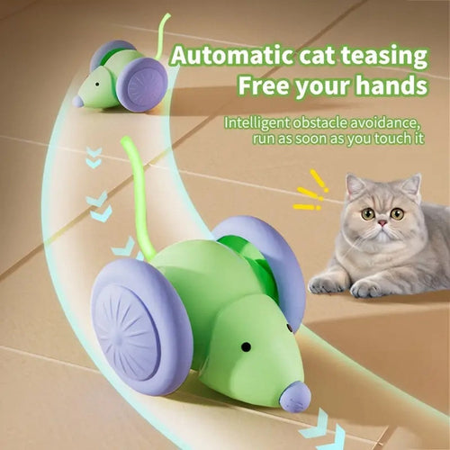 Pet Toys Interactive Cat Toy Electric Mouse Car - Automatic Teaser