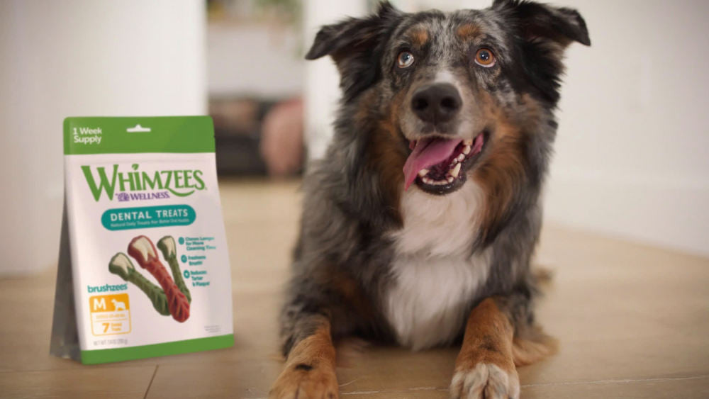 WHMZ DNTL CHW MEDIUM 7CT ( 4 X 7.4 OZ   )